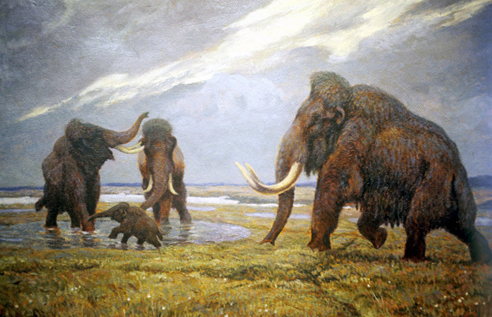 Scientists: Climate change, not humans, are to blame for the mammoth's  extinction