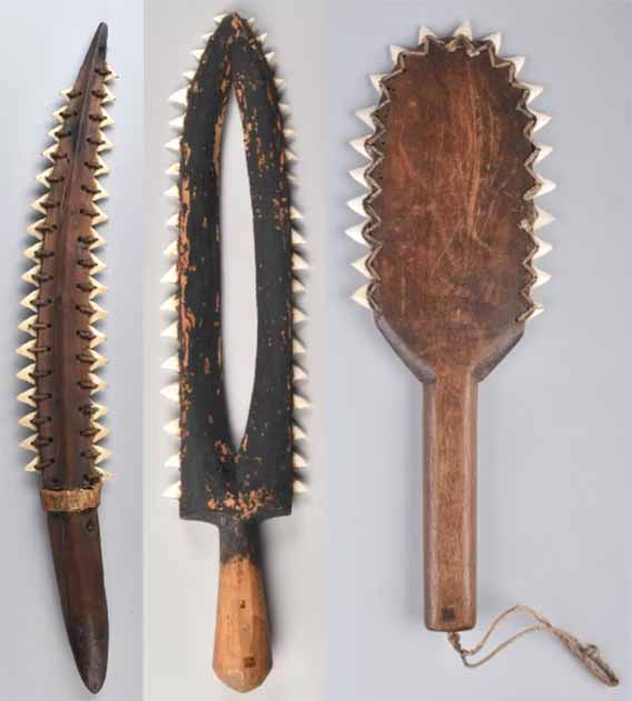 Shark teeth are widely used to edge deadly combat weapons or powerful ritual blades in the Pacific. Left: a knife from Kiribati; center and right: weapons from Hawai'i. (The Trustees of The British Museum)