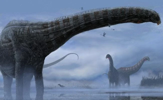 Chile: Phát hiện hóa thạch của 4 loài khủng long chưa từng biết đến ảnh 1