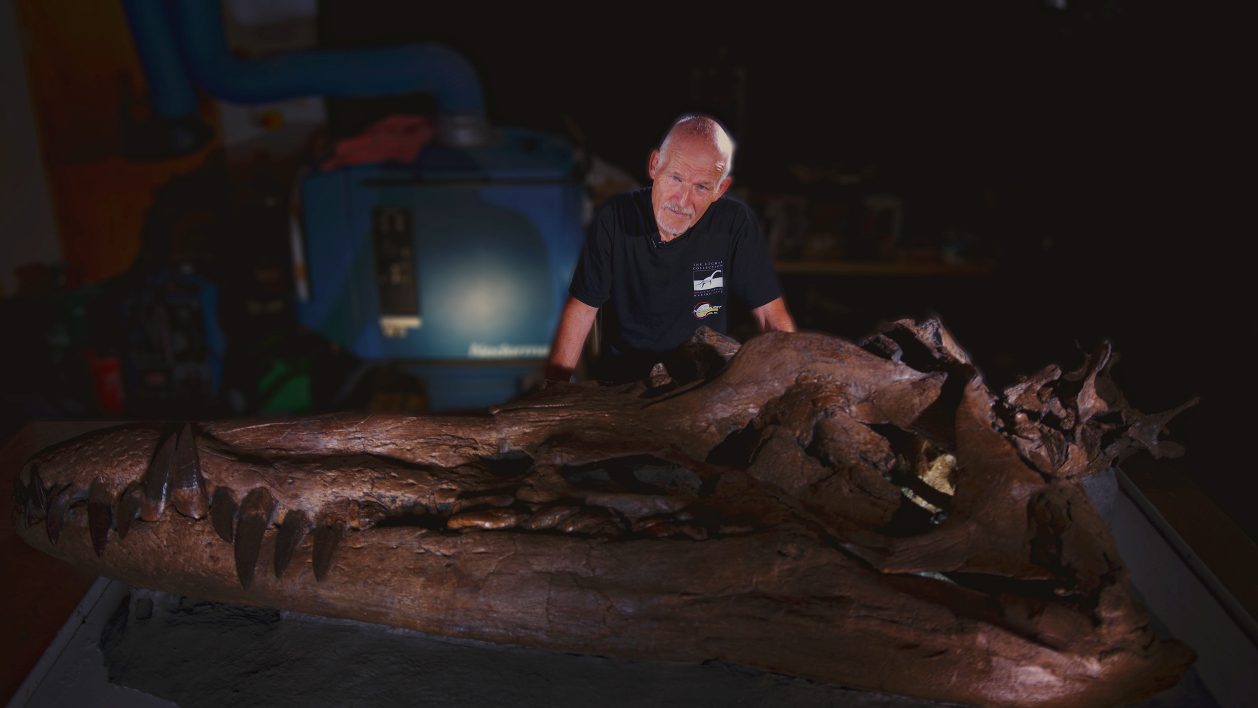 Jurassic Period Artifact: Largest Pliosaur Skull Discovered | The Gaze
