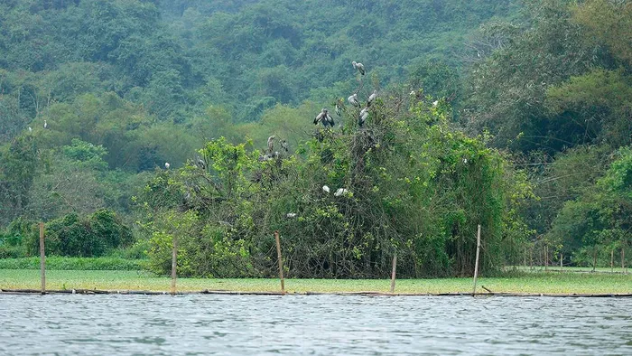  Khu du lịch sinh thái Thung Nham hiện là một trong những địa điểm du lịch nổi tiếng ở Ninh Bình, thu hút du khách bởi vẻ đẹp hoang sơ, kỳ thú. 