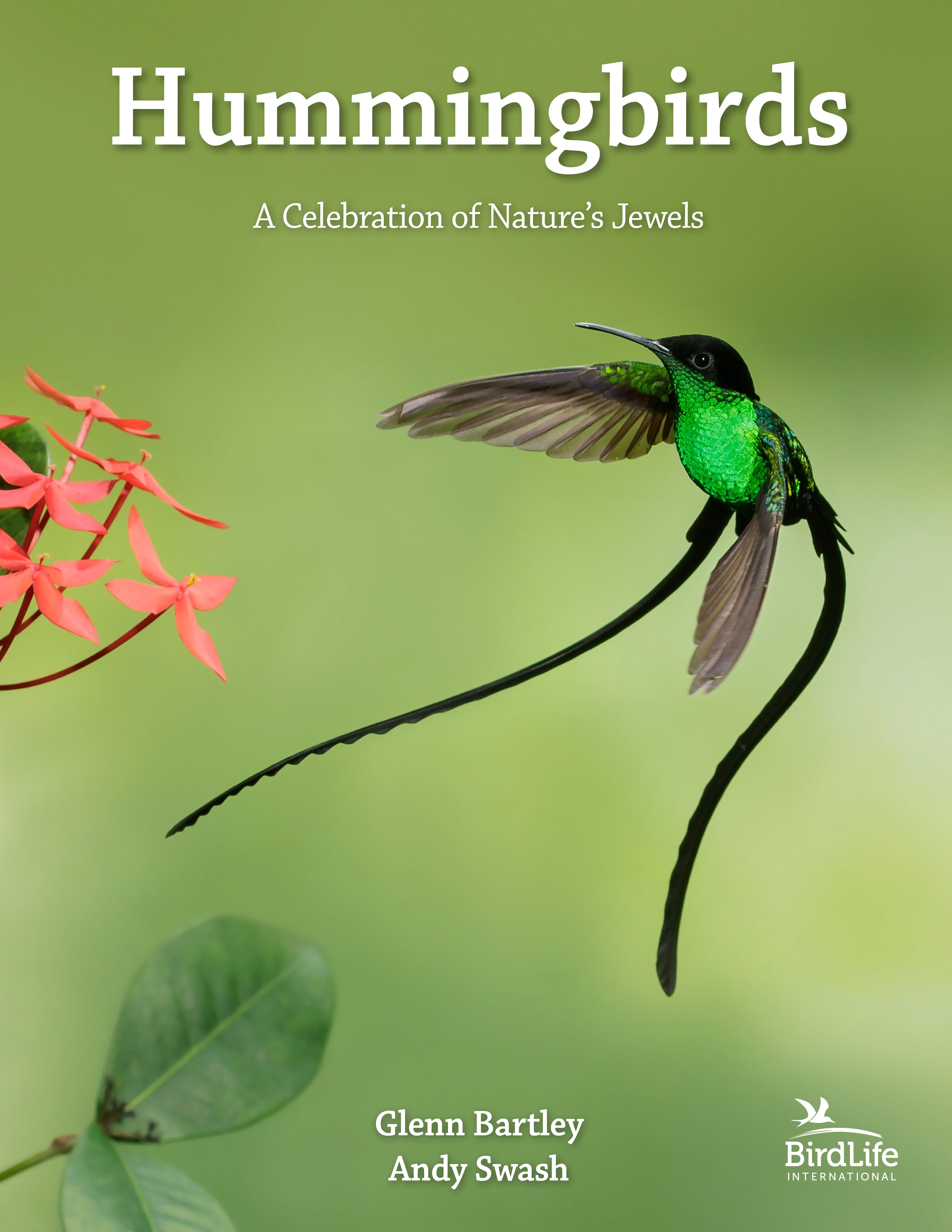 Hummingbirds | Princeton University Press
