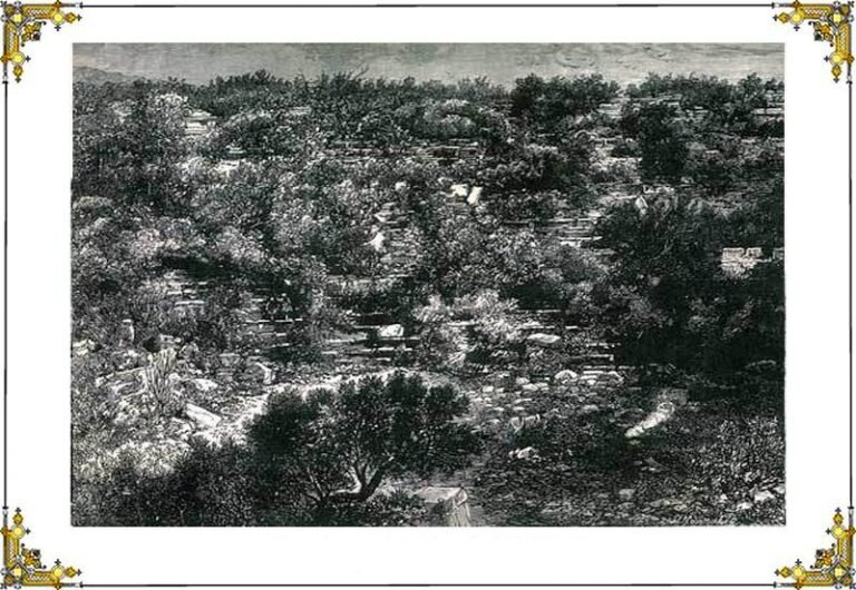 Epidaurus photo - 1877