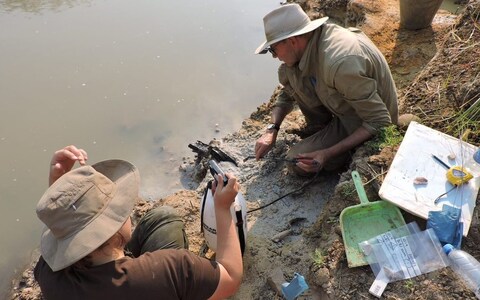 The remains of the wooden structure as they were uncovered