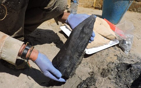 A piece of flint thought to have been used to shape the wooden structure