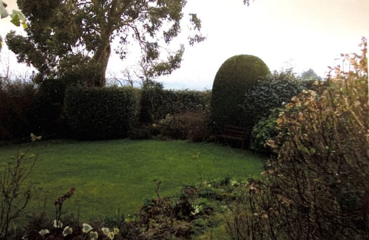 The garden in which the slab was found. Credit: Woolley &amp; Wallis