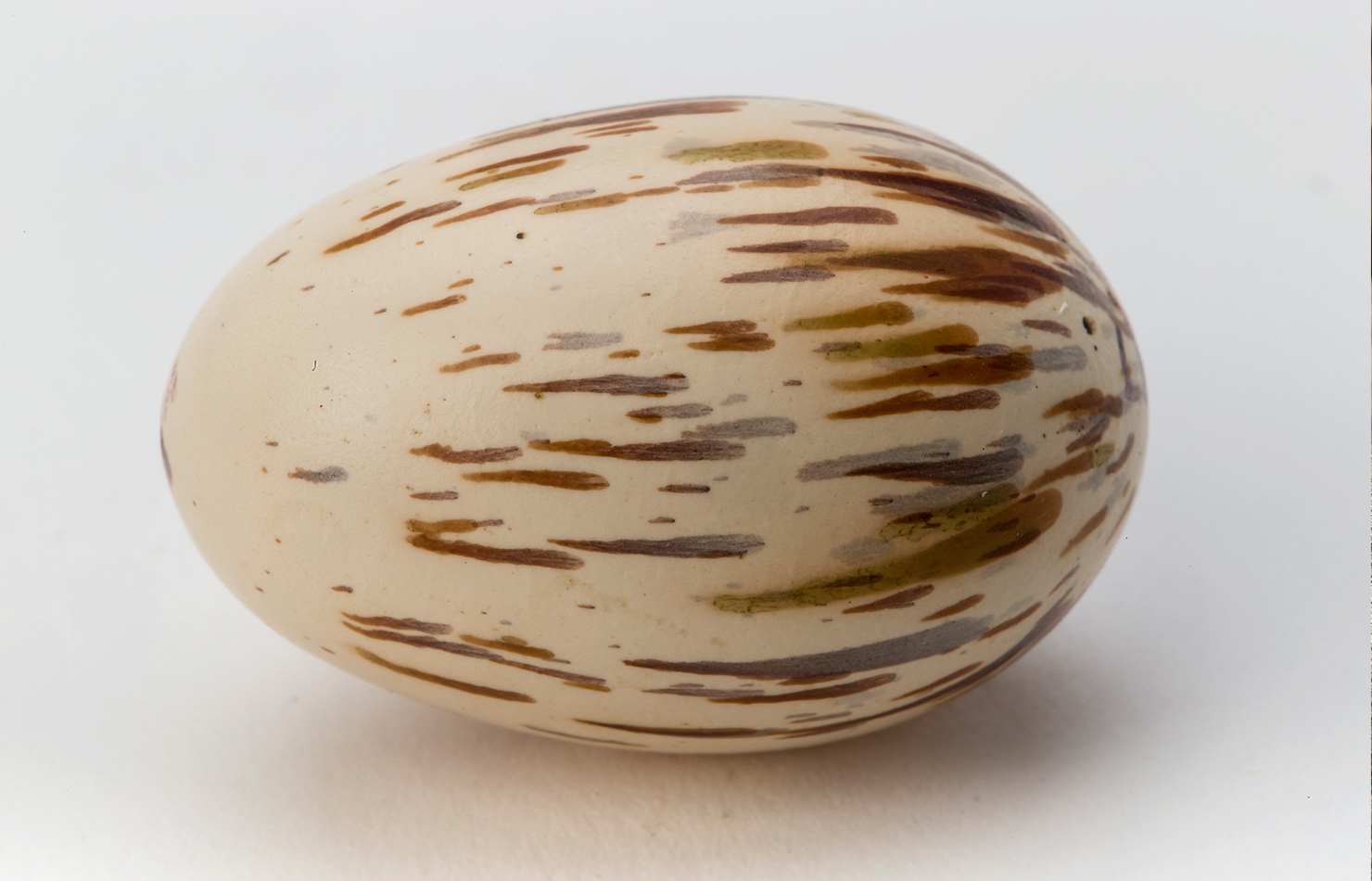 Cock-of-the-rock egg.