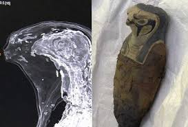 Periódico Noti-Mapache - Revelan que una momia egipcia que ...