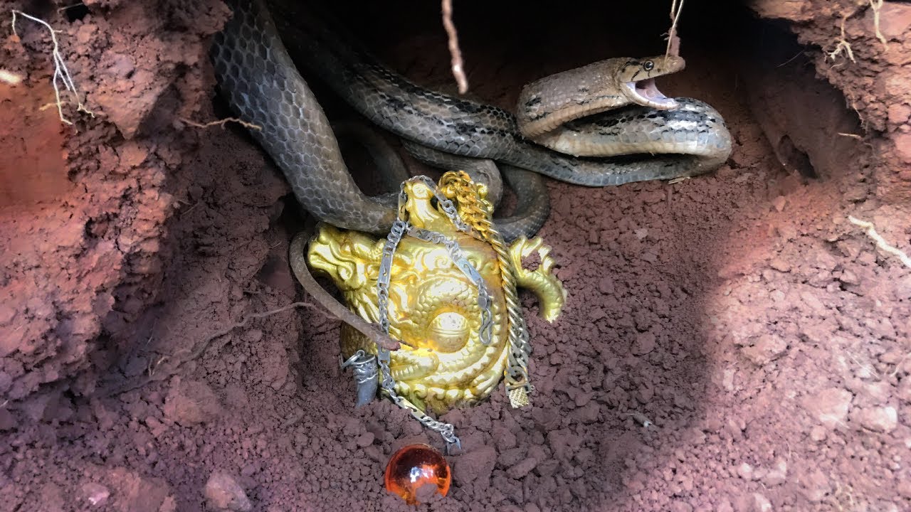 We Found Great Treasure In A Cave It Was An Ancient Golden Vase And A  Fierce Dragon Snake - YouTube