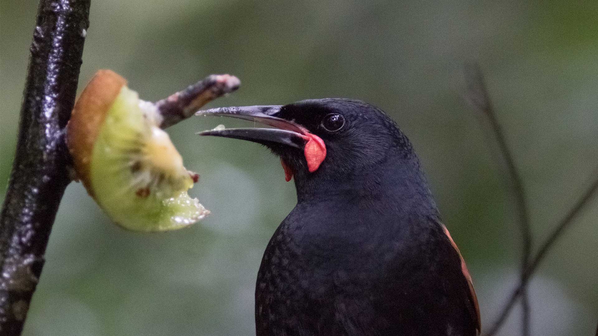 https://nguoinghe24h.com/wp-content/uploads/2024/01/tieke-gallery-1.jpg