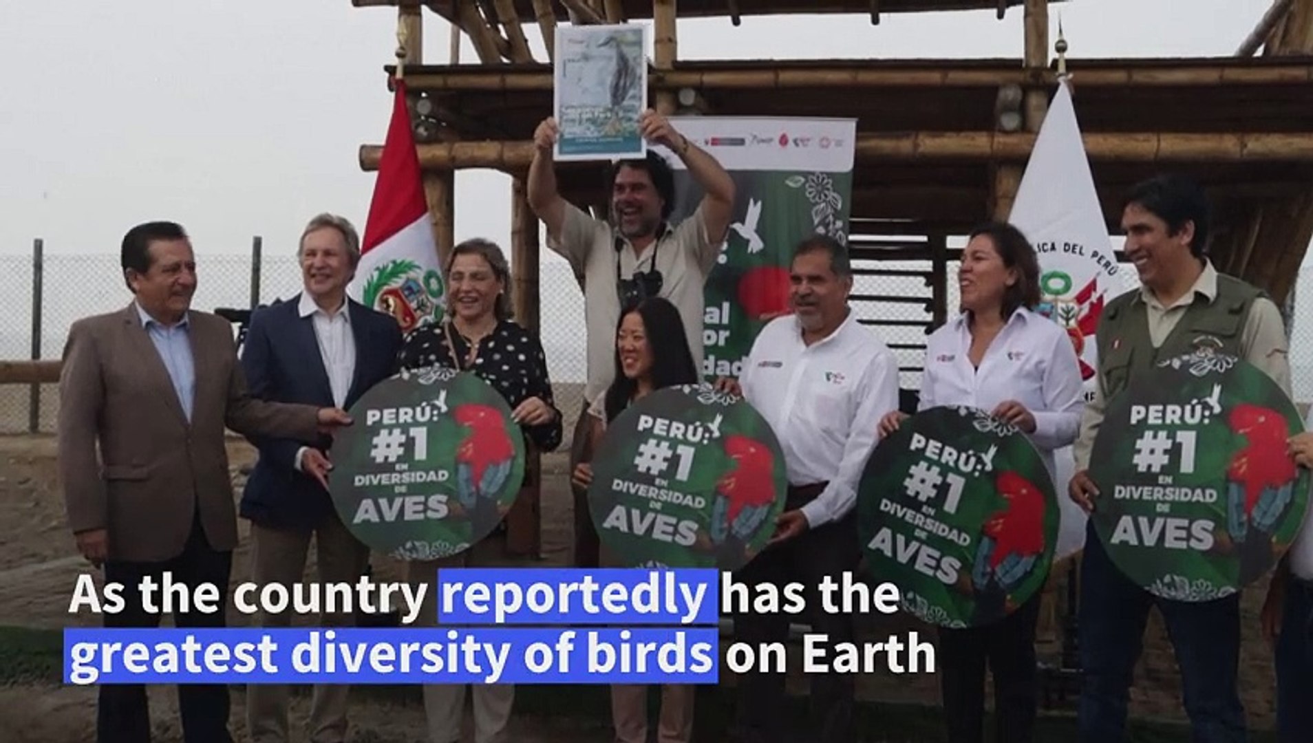 Peru claims global record for bird diversity - video Dailymotion