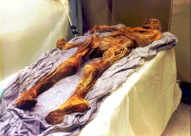The 5,300-year-old mummy known as "Oetzi" is seen in this...