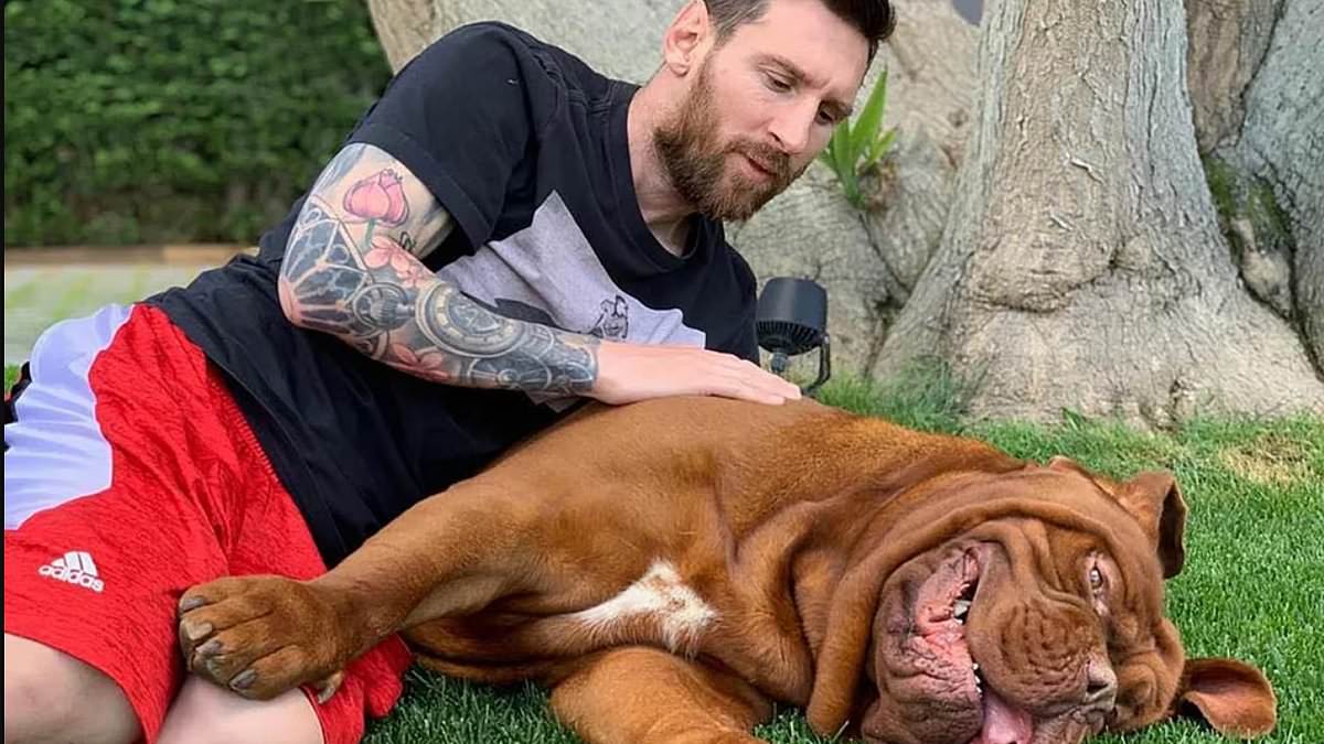 Lionel Messi opens up on painful decision he and wife Antonela made to leave  behind their pet dog, Hulk, when they moved from Barcelona to Miami | Daily  Mail Online