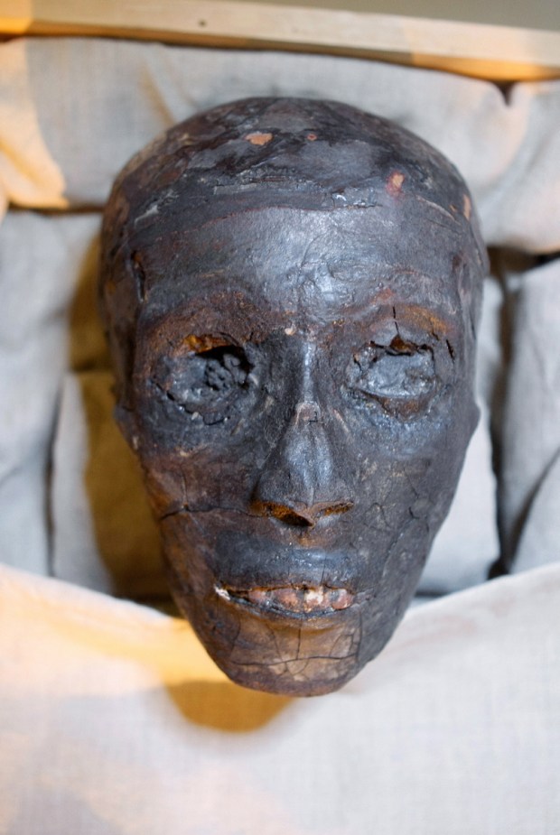 The face of Pharaoh Tutankhamen is displayed in a climate-controlled...