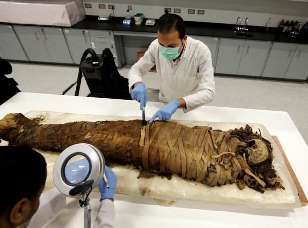 Egyptian conservators clean a female mummy dated to Pharaonic late...