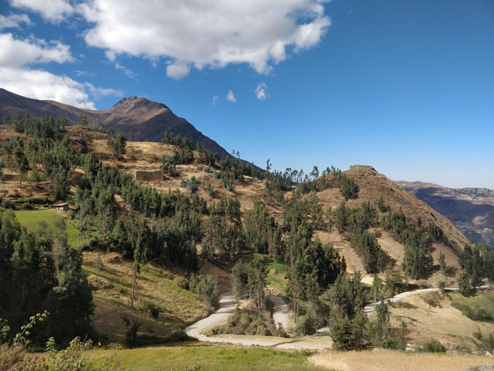 At the site of Pashash, archaeologists have investigated monumental buildings (left) and excavated a large residential compound on a hilltop (right) called La Capilla. (George Lau)