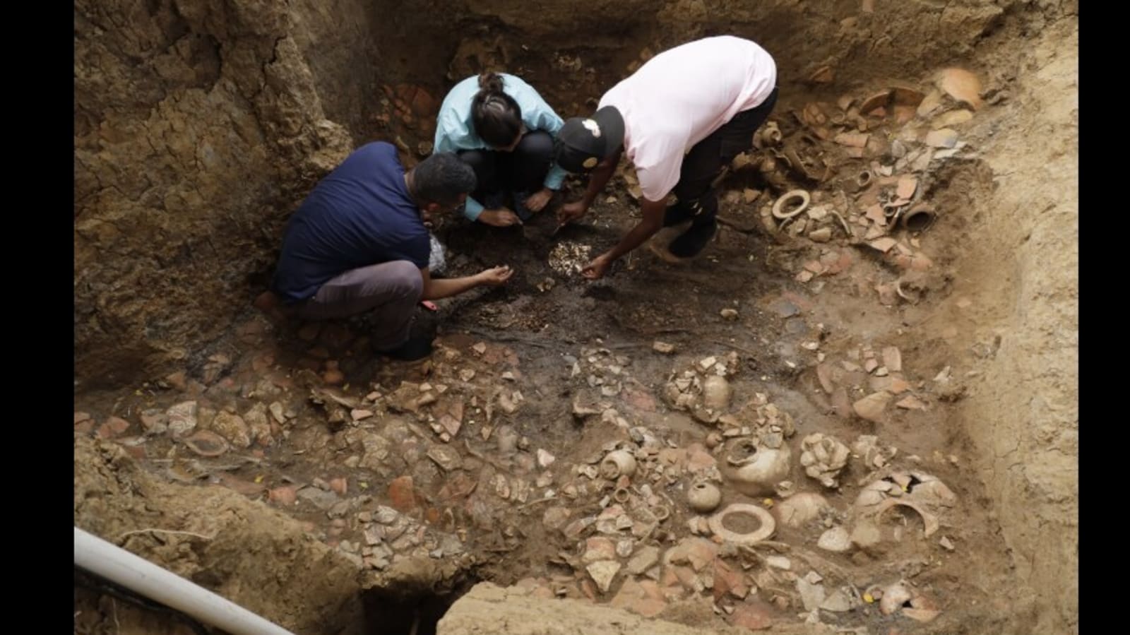 Ancient tomb full of gold treasure and sacrificial victims found in Panama  | Trending - Hindustan Times