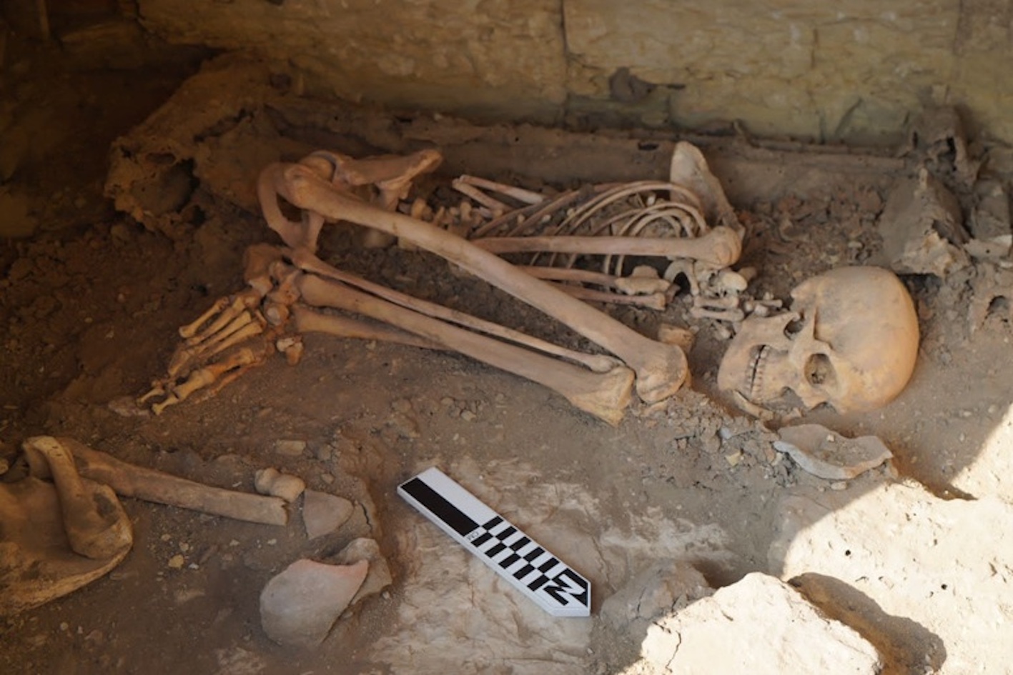 Archaeologists Find Ancient Egyptian Tomb With Burials and Statues of Isis