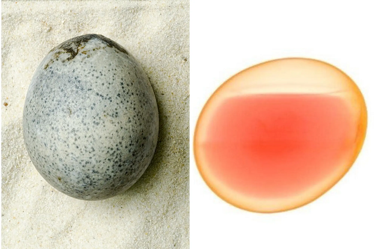 Kỳ lạ quả trứng 1.700 năm, bên trong vẫn còn nguyên lòng đỏ và lòng trắng |  Khoa học và Đời sống