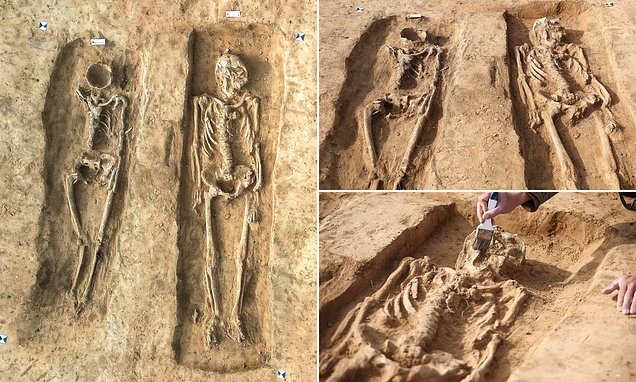 Stunned archaeologists find woman buried beside her 'husband' 1,000 years  ago with the top of her skull missing, prompting speculation her head was  hollowed out | Daily Mail Online