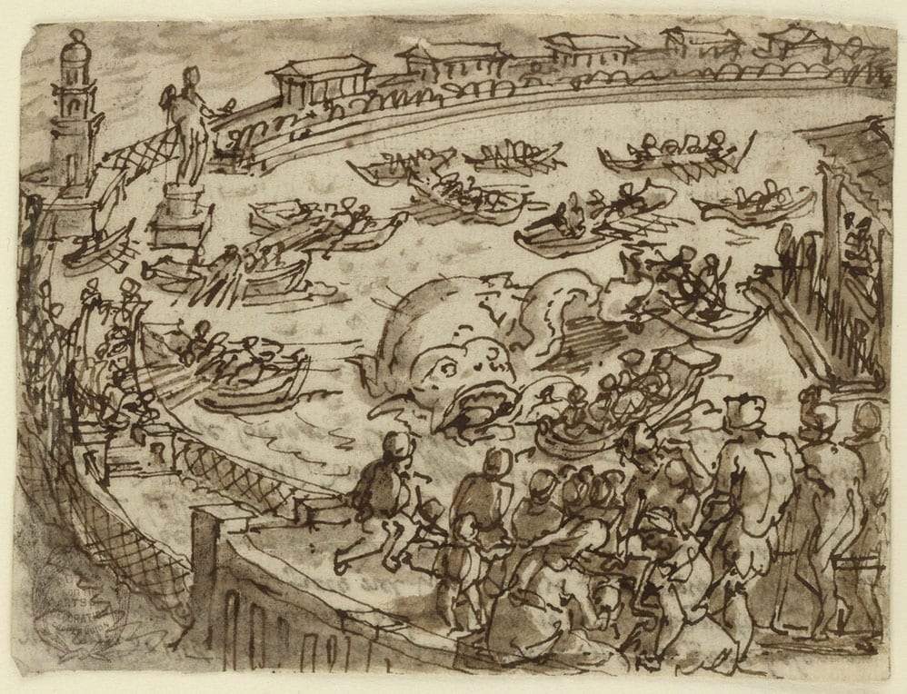Drawing of the battle Claudius staged with an orca, or killer whale in the harbour of Ostia, by artist Jan van der Straet, 1590, courtesy CooperHewitt-Smithsonian