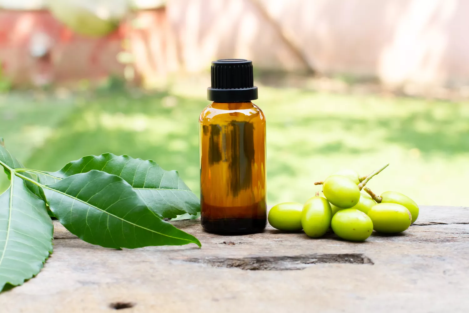 Neem Oil