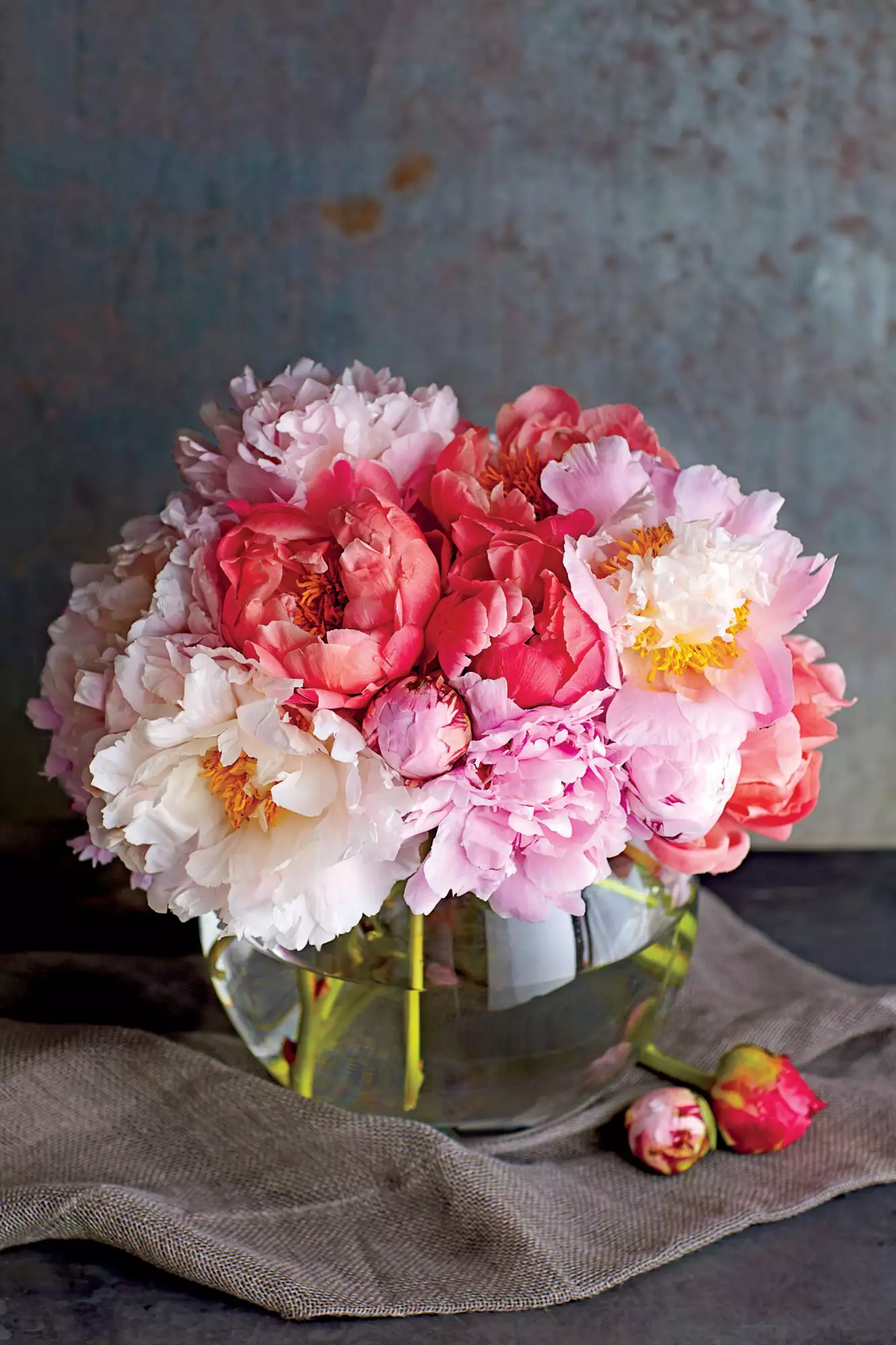 Peonies in Vase