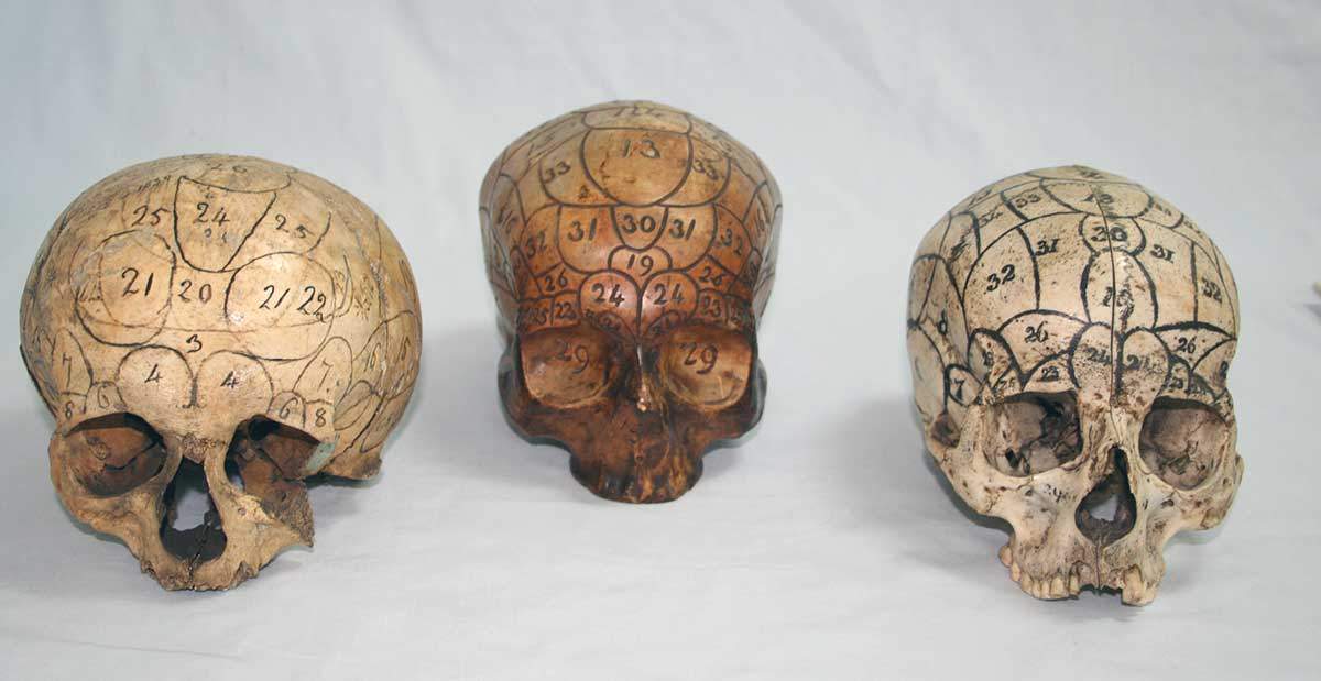 phrenology criminal justice