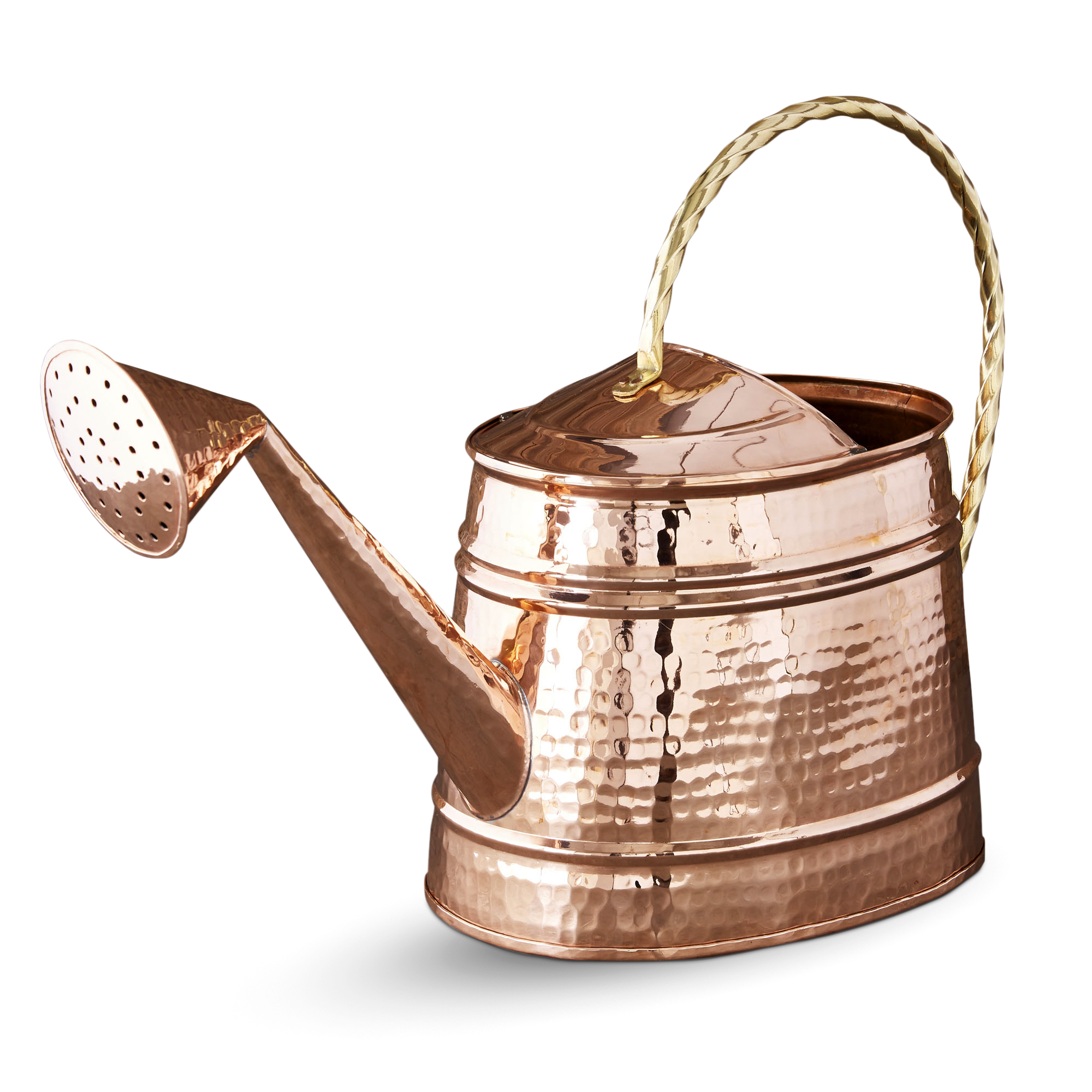 Copper Watering Can