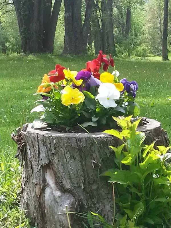 Pansy basket #decorhomeideas