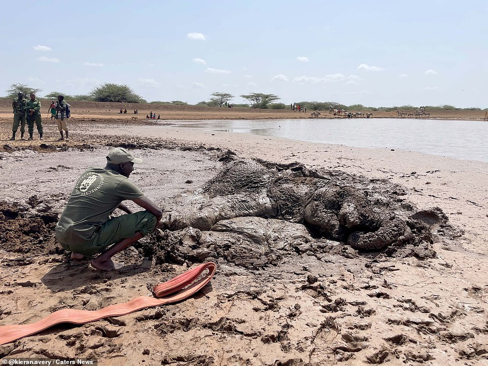 Using the right tools, rescuers (pictured left) were able to free the elephant (right) after working for an hour and a half