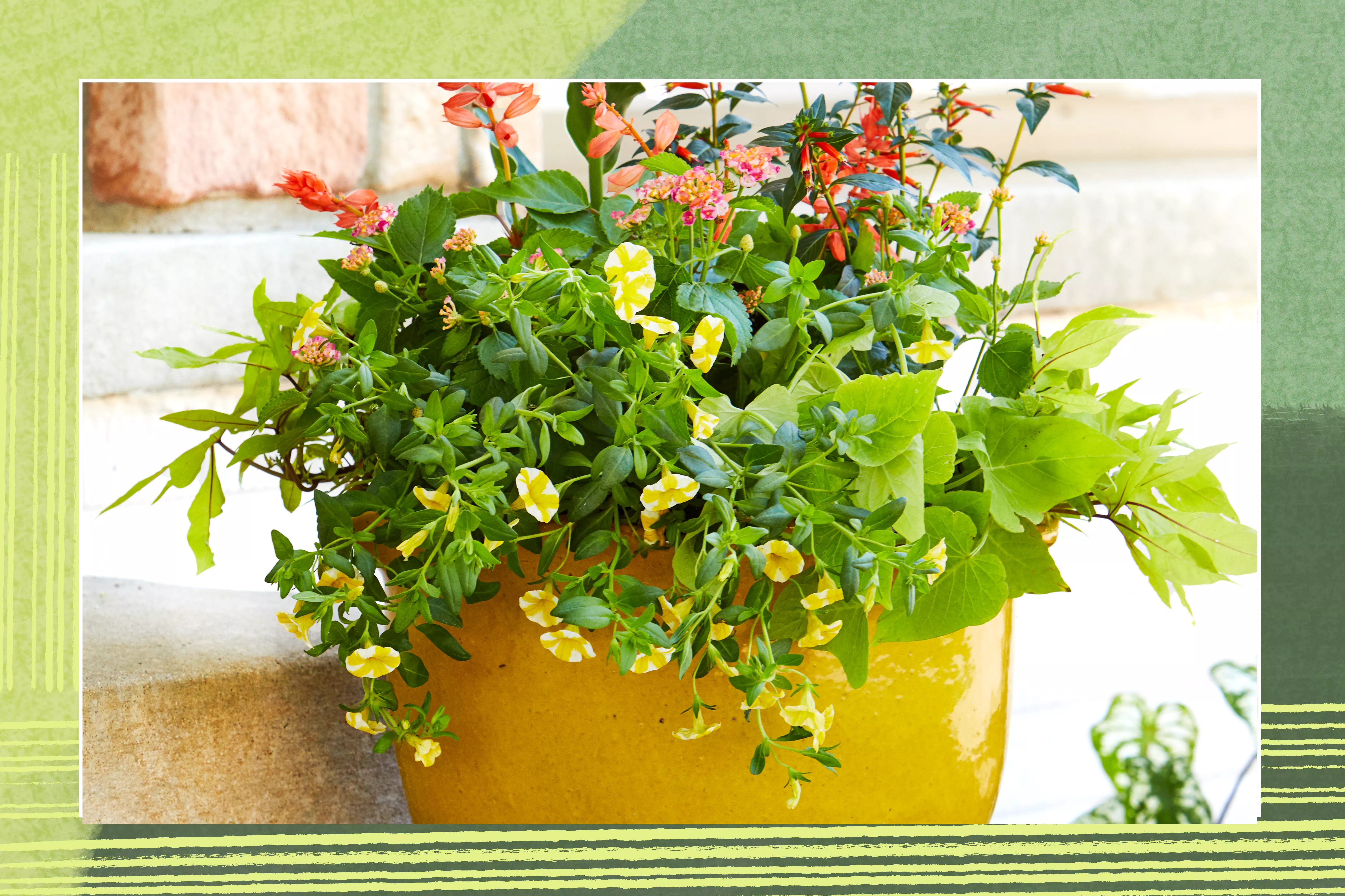 yellow container garden planter on front steps