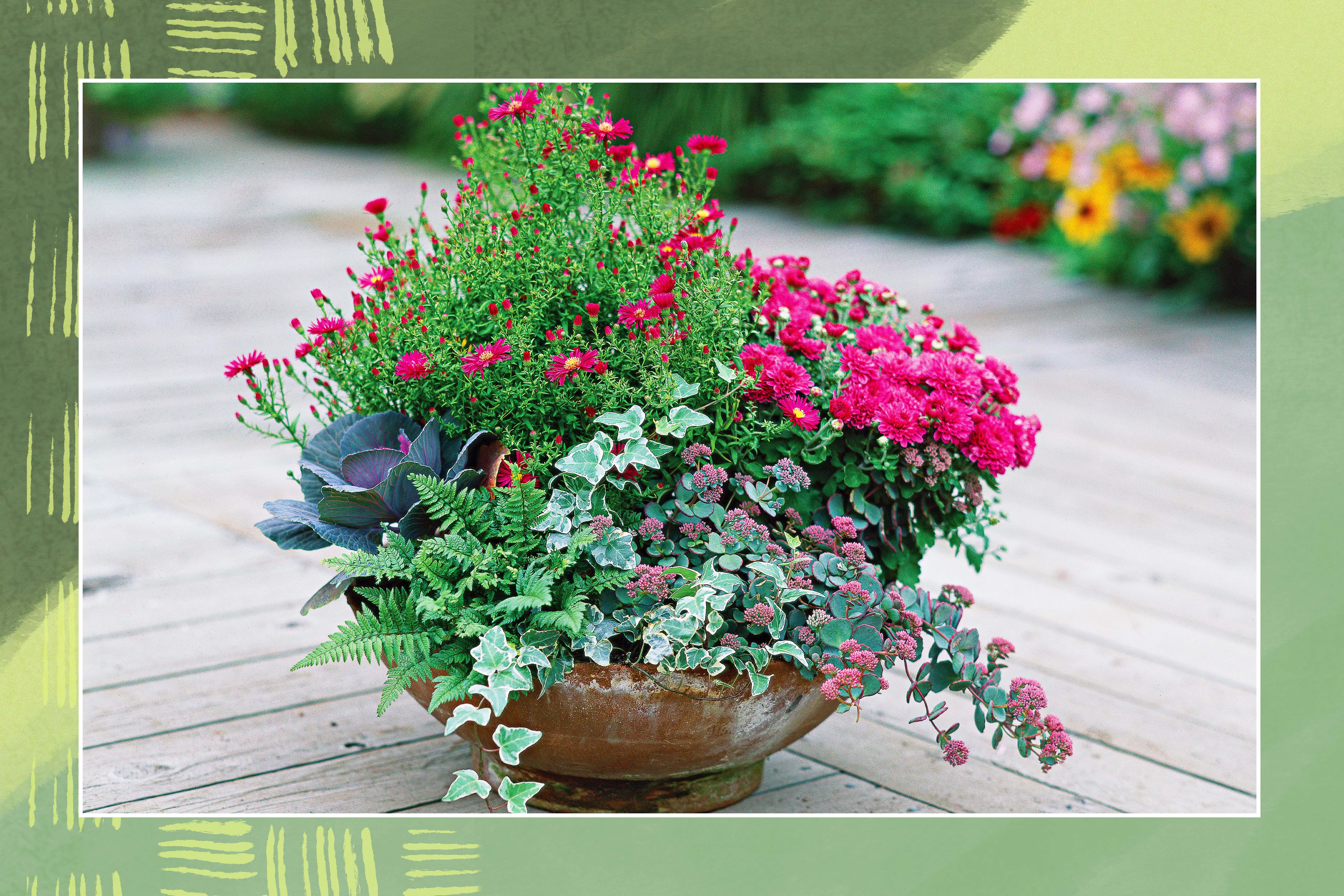 container pot with flowers