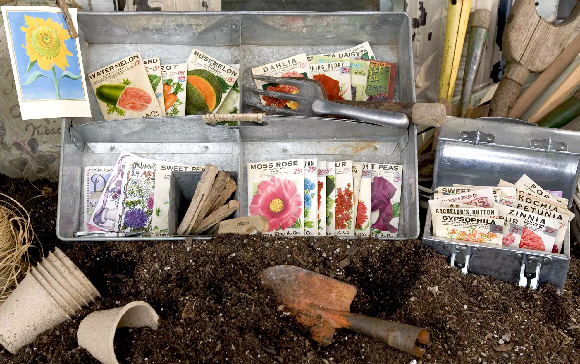 Metal containers with seed packets and garden tools