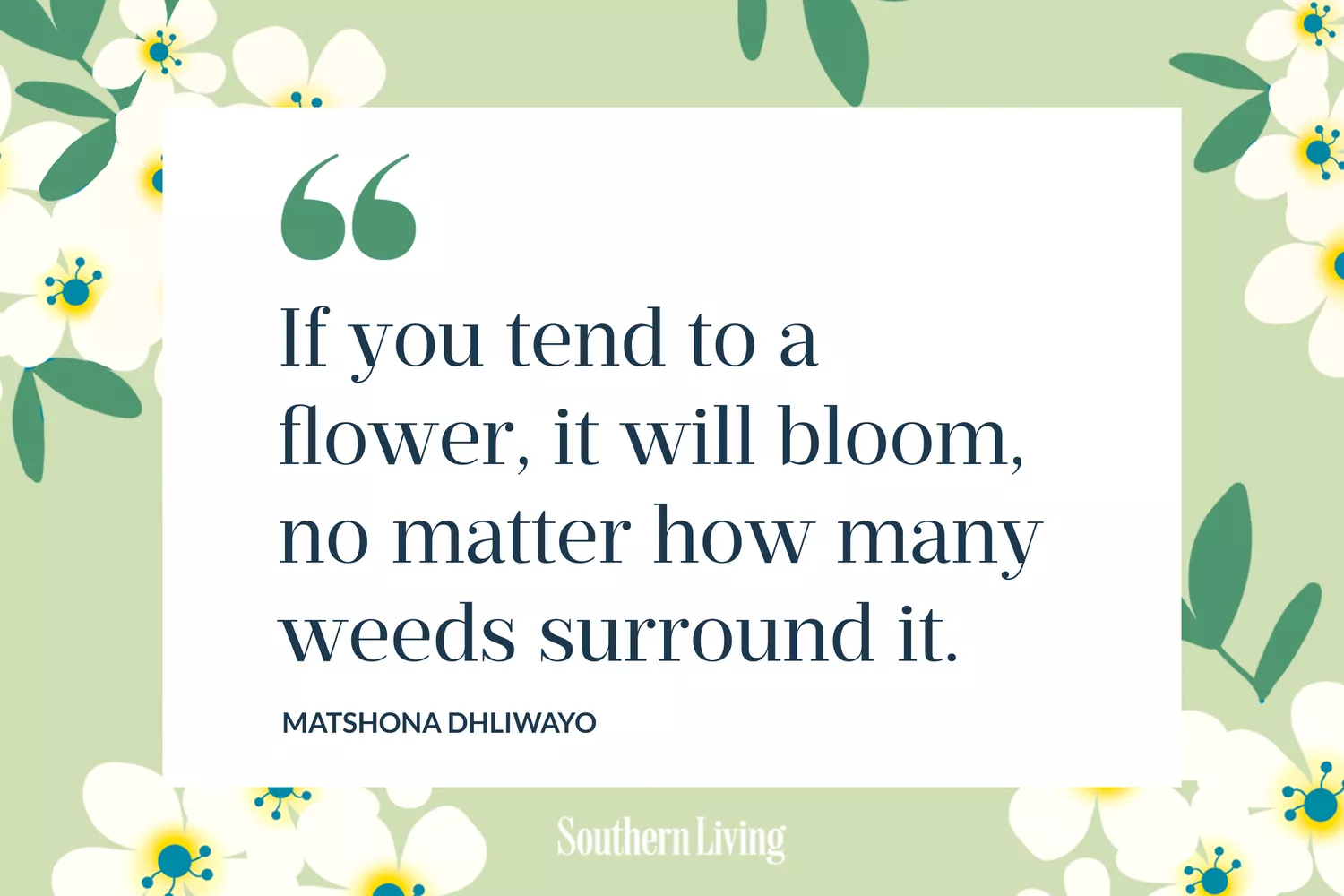 Blooming Flower Quote