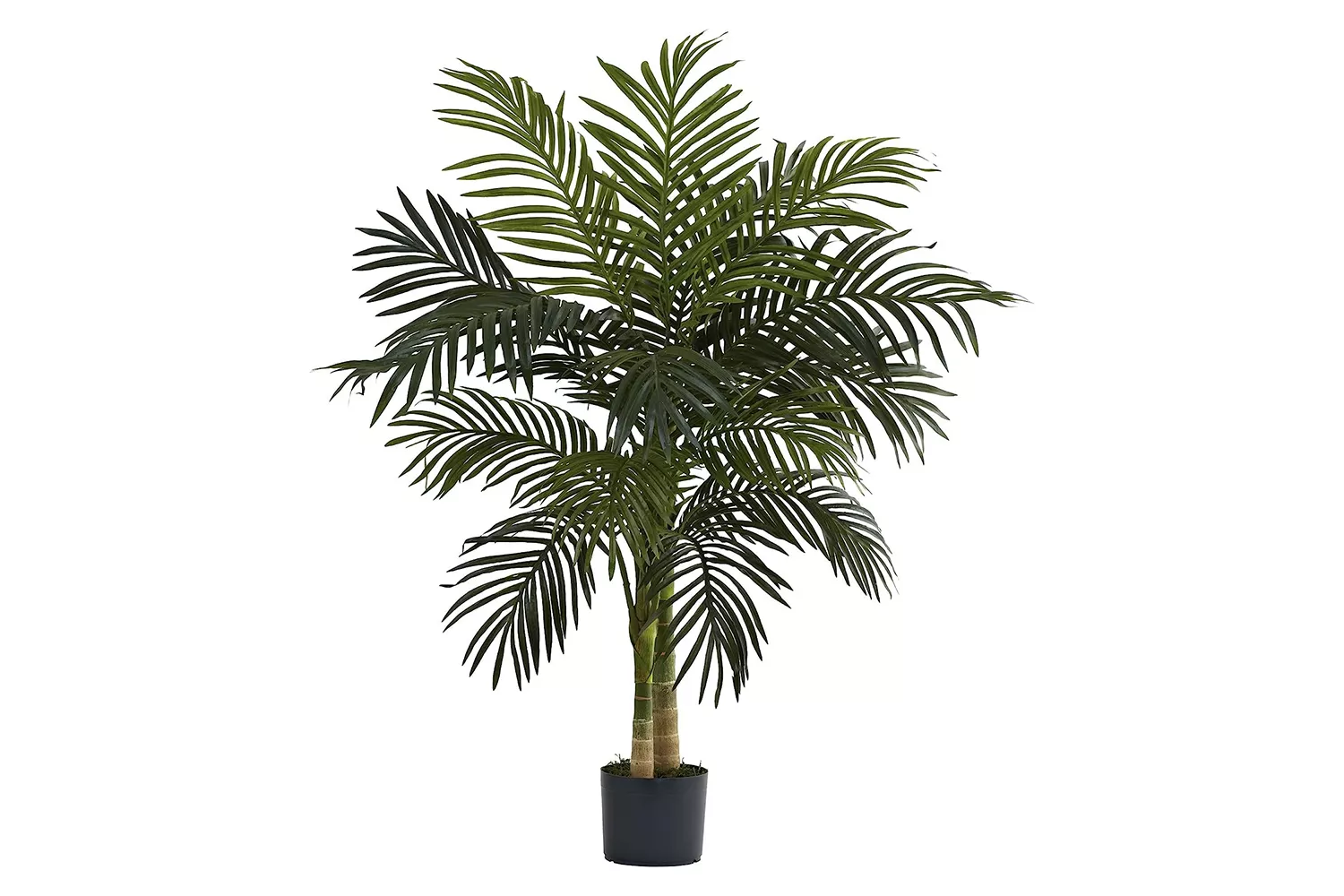 Nearly Natural 5357 4ft. Golden Cane Palm Tree,Green