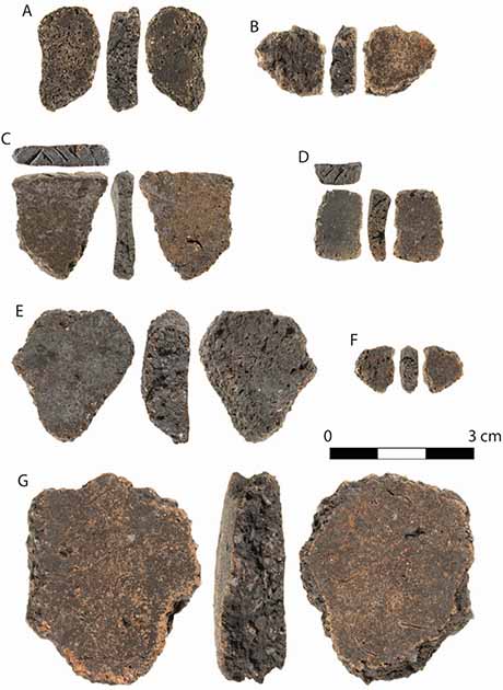 Some of the pottery shards recovered from the site. They may be too small to tell how they were formed originally, but we know they were manufactured using local resources, and we know that they predate the arrival of Europe and therefore rewrite the history of Australia (Science Direct / Steve Morton)