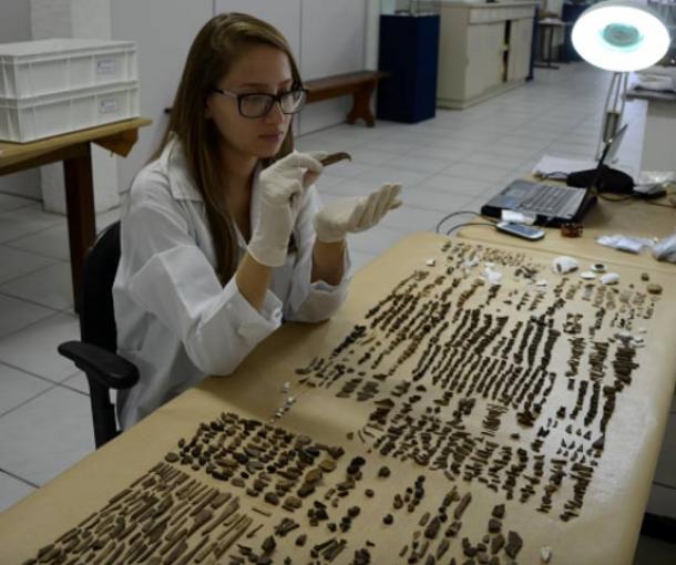 Jéssica Cardoso analyzing remains of animals found at the Galheta IV archeological site (personal archive/FAPESP)
