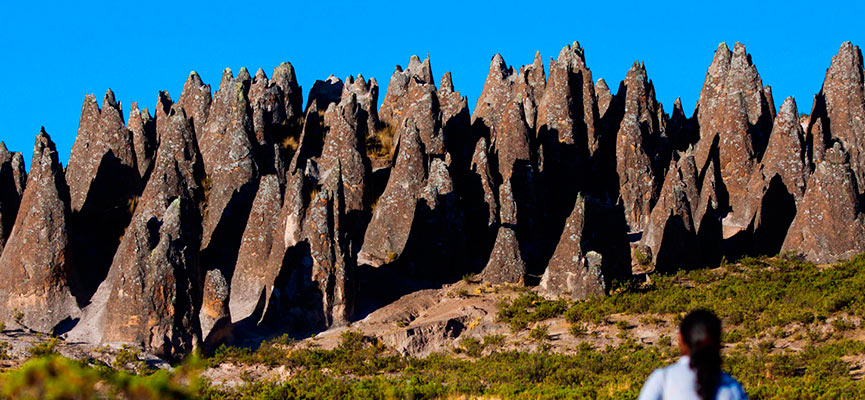 pampachiri stone forest