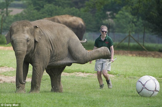 Look what I can do: Donna backheels the ball, watched by her keeper Elizabeth Becker